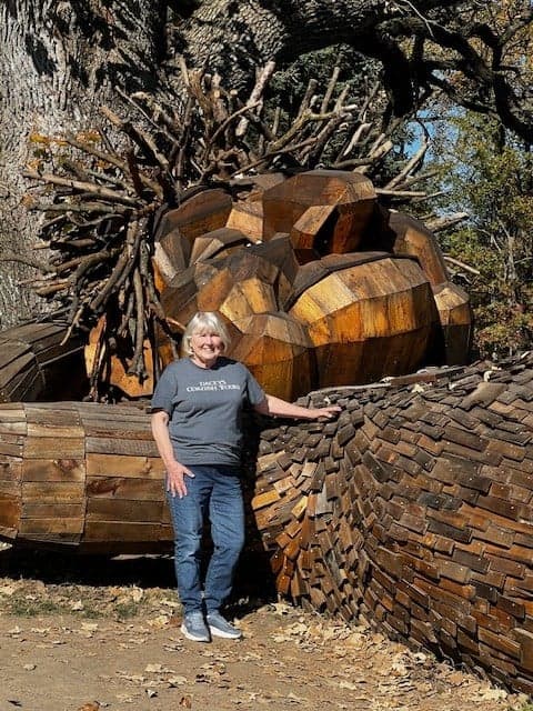 Jenny, Dambo Trolls Clinton Iowa