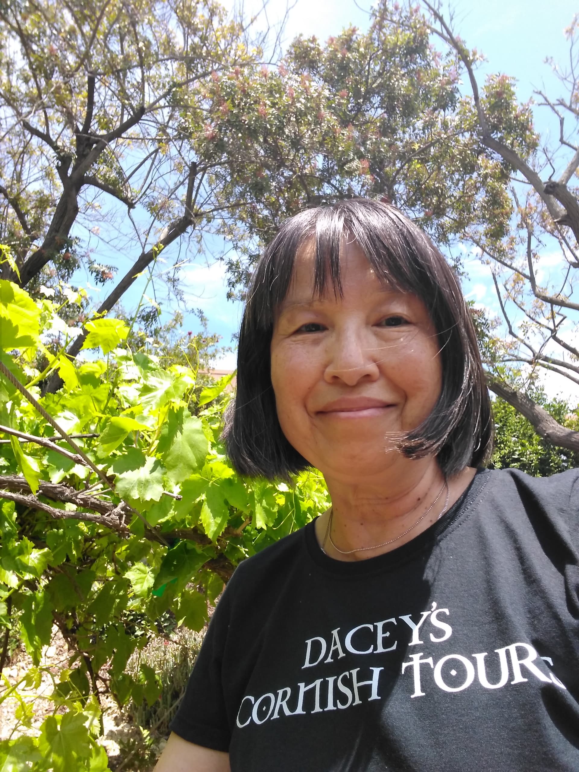 Yulee, wine tasting Napa Valley California