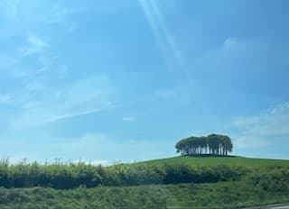 Welcome home trees