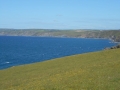 DSCN0271