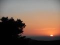 DSCN0283
