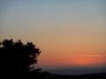 DSCN0284