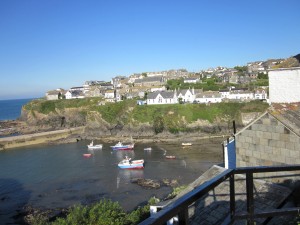 IMG_1133