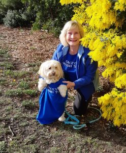 Dacey's Cornish toursKelsey & Geordie, Australian Golden Wattle Tasmania