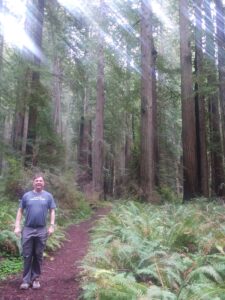 Dacey's Cornish tours David, Redwood National Park, California